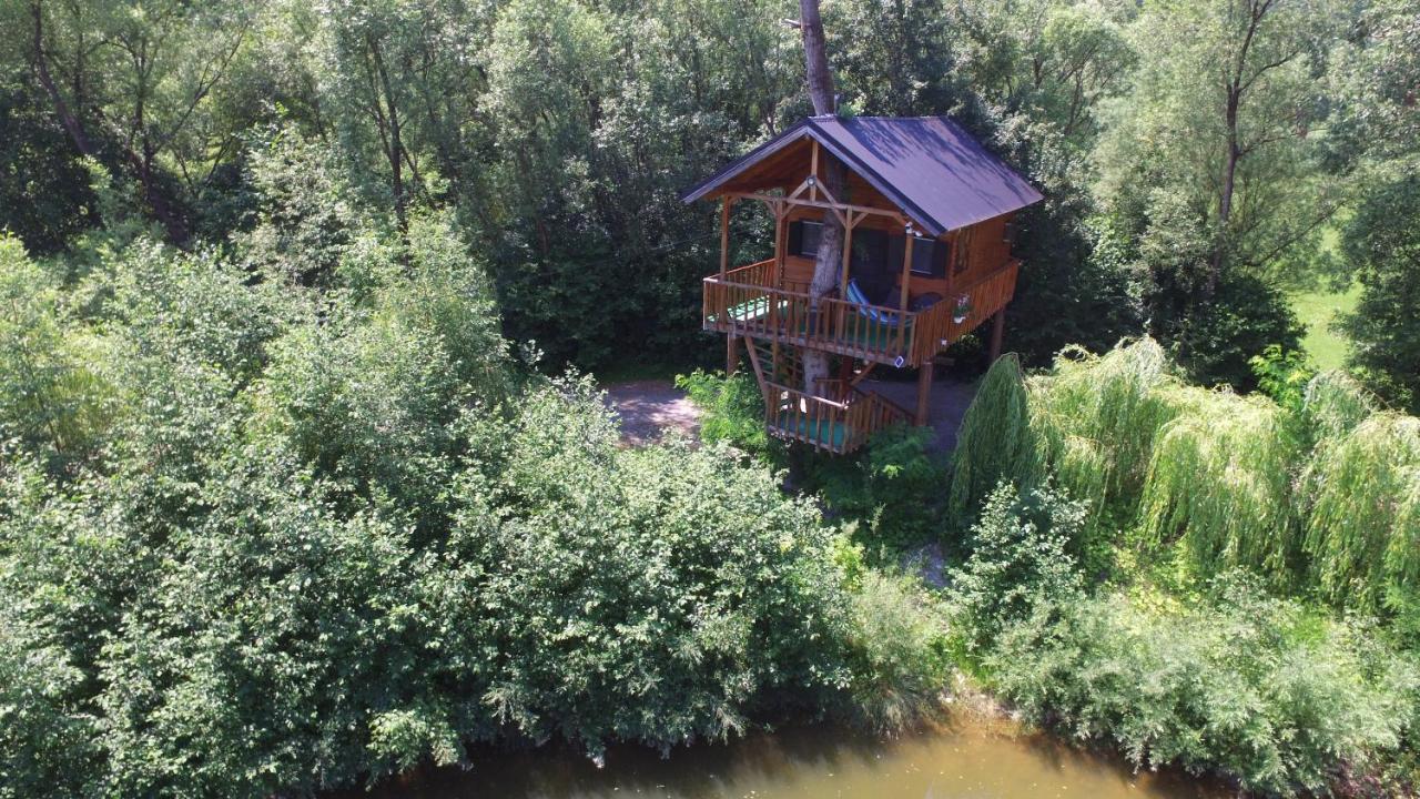 Cuibul Vulturilor - Casuta In Copac Vila Moisei Exterior foto