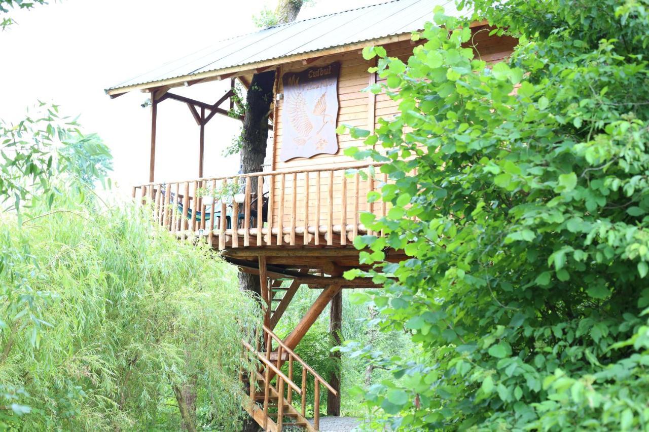 Cuibul Vulturilor - Casuta In Copac Vila Moisei Exterior foto