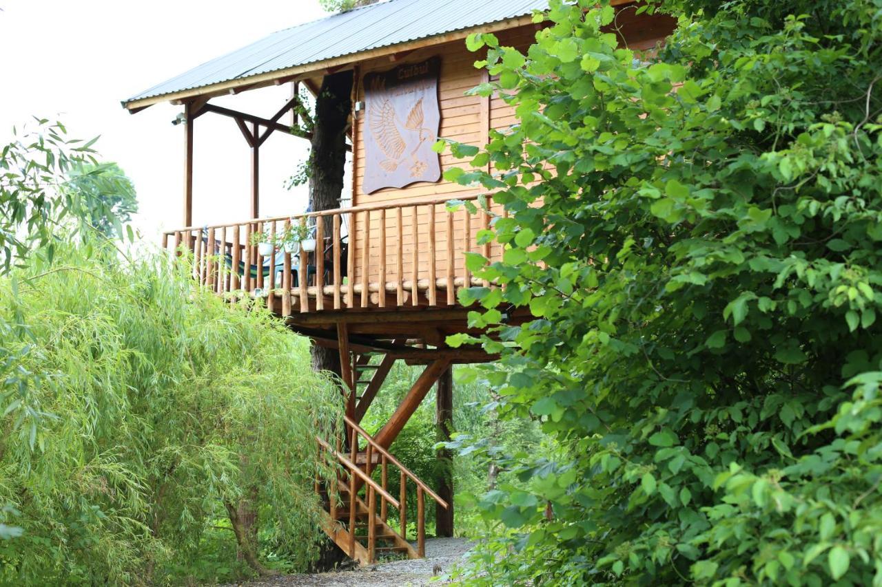 Cuibul Vulturilor - Casuta In Copac Vila Moisei Exterior foto