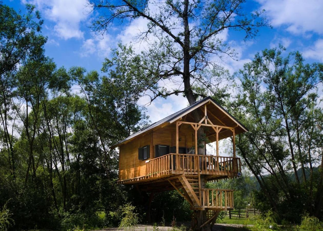 Cuibul Vulturilor - Casuta In Copac Vila Moisei Exterior foto